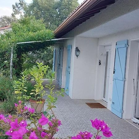Saint-Jory Villa De Charme Avec Piscine מראה חיצוני תמונה